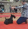  - Exposition Canine Internationale Perpignan 21/01/24