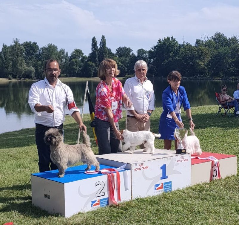 du Harpouy D'Auzan - Exposition Canine Presqu'Île d'Ambes 28/04/24