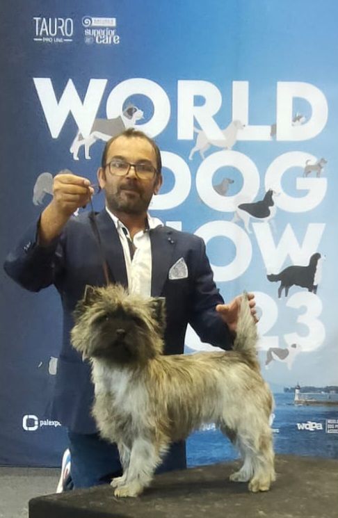 du Harpouy D'Auzan - World Dog Show Genève 25 Août 2023