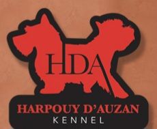 du Harpouy D'Auzan - Nouvelle Vidéo Spéciale de Race Aurrillac 2023