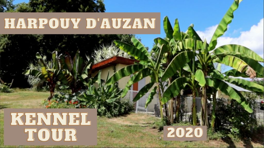 du Harpouy D'Auzan - Nouvelle Vidéo : visite du Harpouy d'Auzan