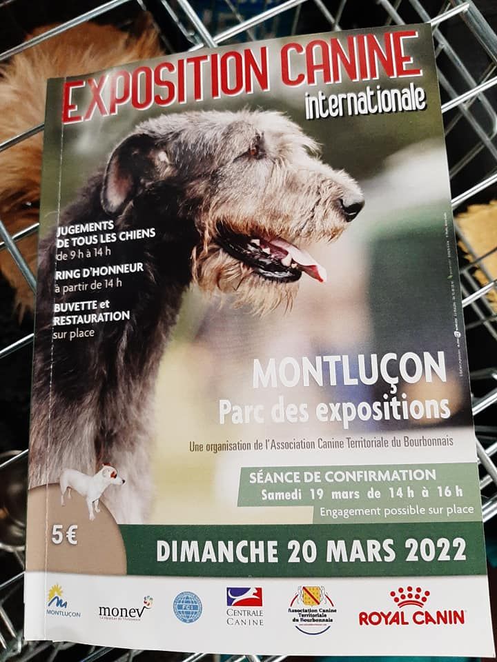 du Harpouy D'Auzan - Exposition Internationale Montluçon