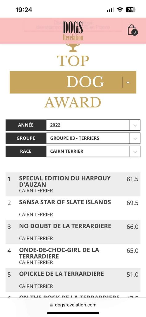 du Harpouy D'Auzan - Top Cairn Terrier 2022 en France