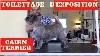  - Vidéo Toilettage d'Exposition Cairn Terrier