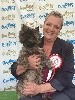  - District Canine Society Champ Show Irlande