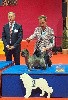  - Exposition Canine  Internationale Tarbes 2024