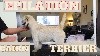  - Nouvelle Vidéo sur le Toilettage du Cairn Terrier
