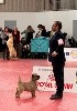  - Exposition Canine Internationale Perpignan 21/01/24