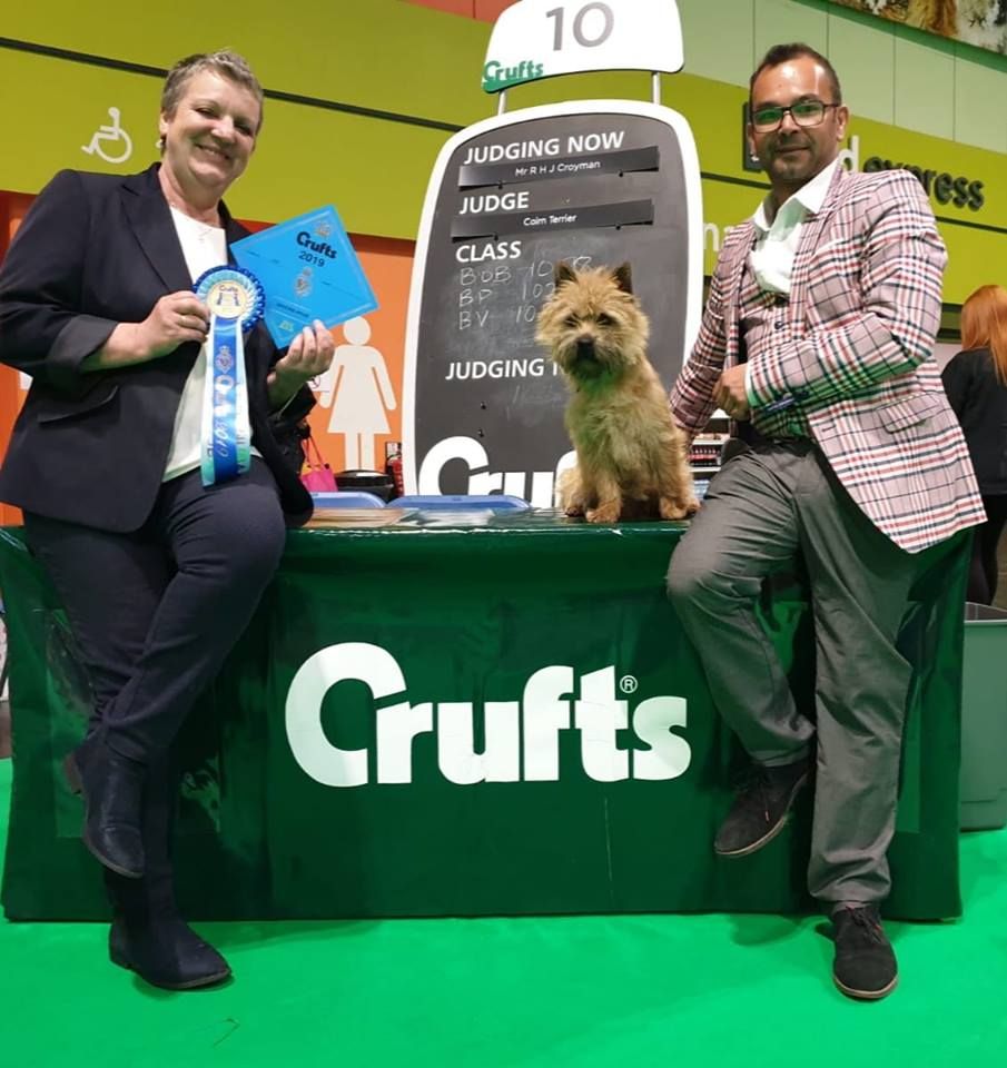 du Harpouy D'Auzan - Crufts 2019 Birmingham UK