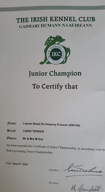 du Harpouy D'Auzan - C'est officiel nouveau Jeune Champion d'Irlande
