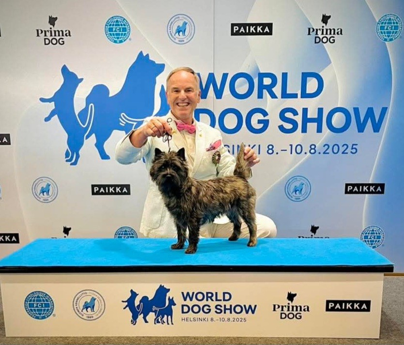 du Harpouy D'Auzan - Word Dog Show Finlande 2025