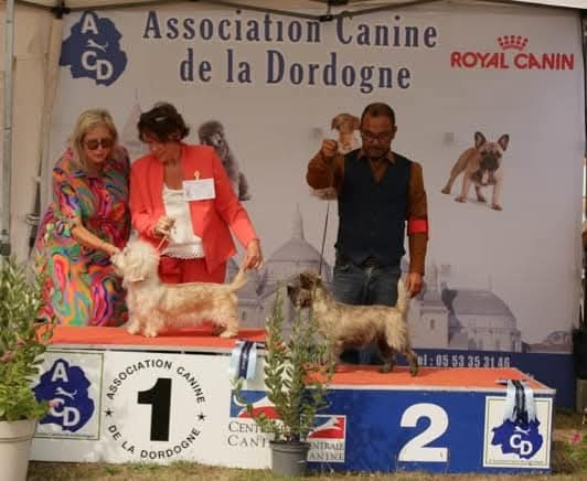 du Harpouy D'Auzan - Nationale Sorges en Périgord 07/09/25