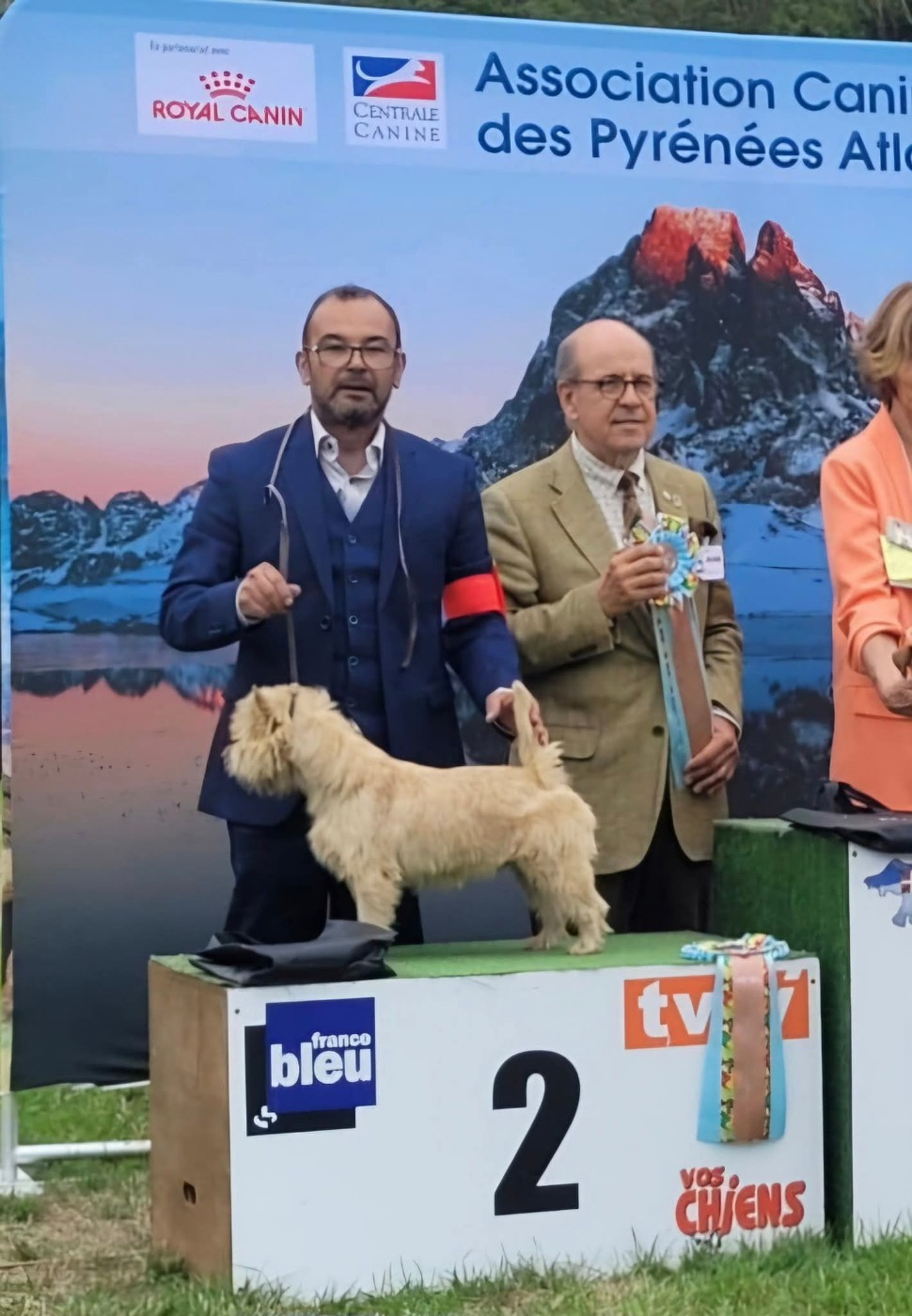 du Harpouy D'Auzan - Exposition Canine Nationale Denguin