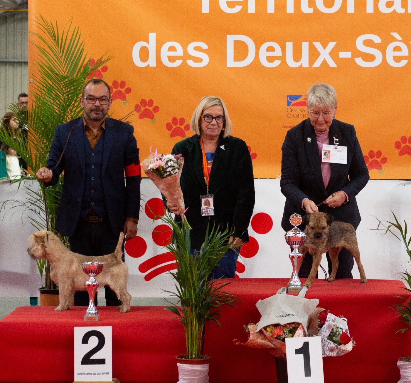 du Harpouy D'Auzan - Exposition Canine Nationale Niort Speciale de Race
