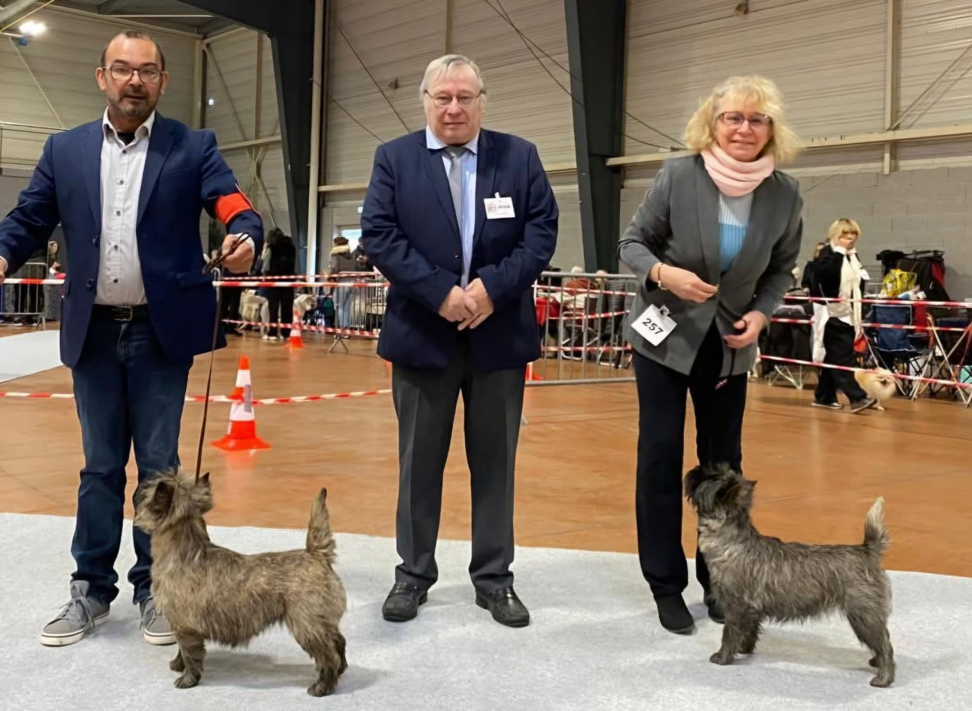 du Harpouy D'Auzan - Exposition Canine Nationale Castres 23/11/25