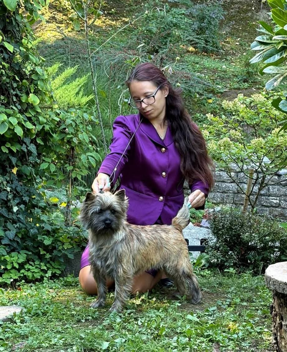 du Harpouy D'Auzan - 2 Nouveaux Titres de Champions