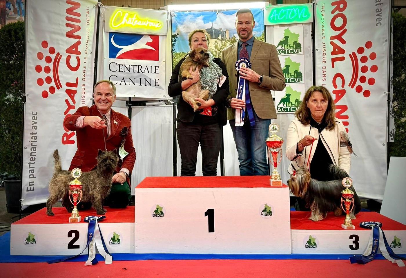 du Harpouy D'Auzan - Eposition Canine Châteauroux Novembre 2025