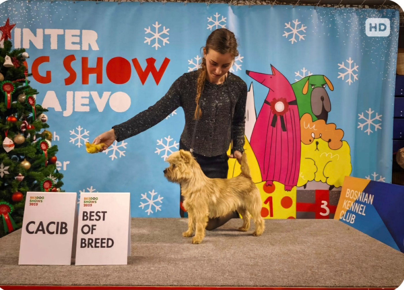 du Harpouy D'Auzan - Van Cleef 15 mois et déjà Champion