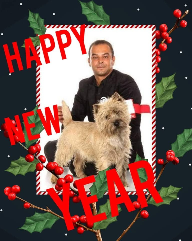 du Harpouy D'Auzan - Bonne Année