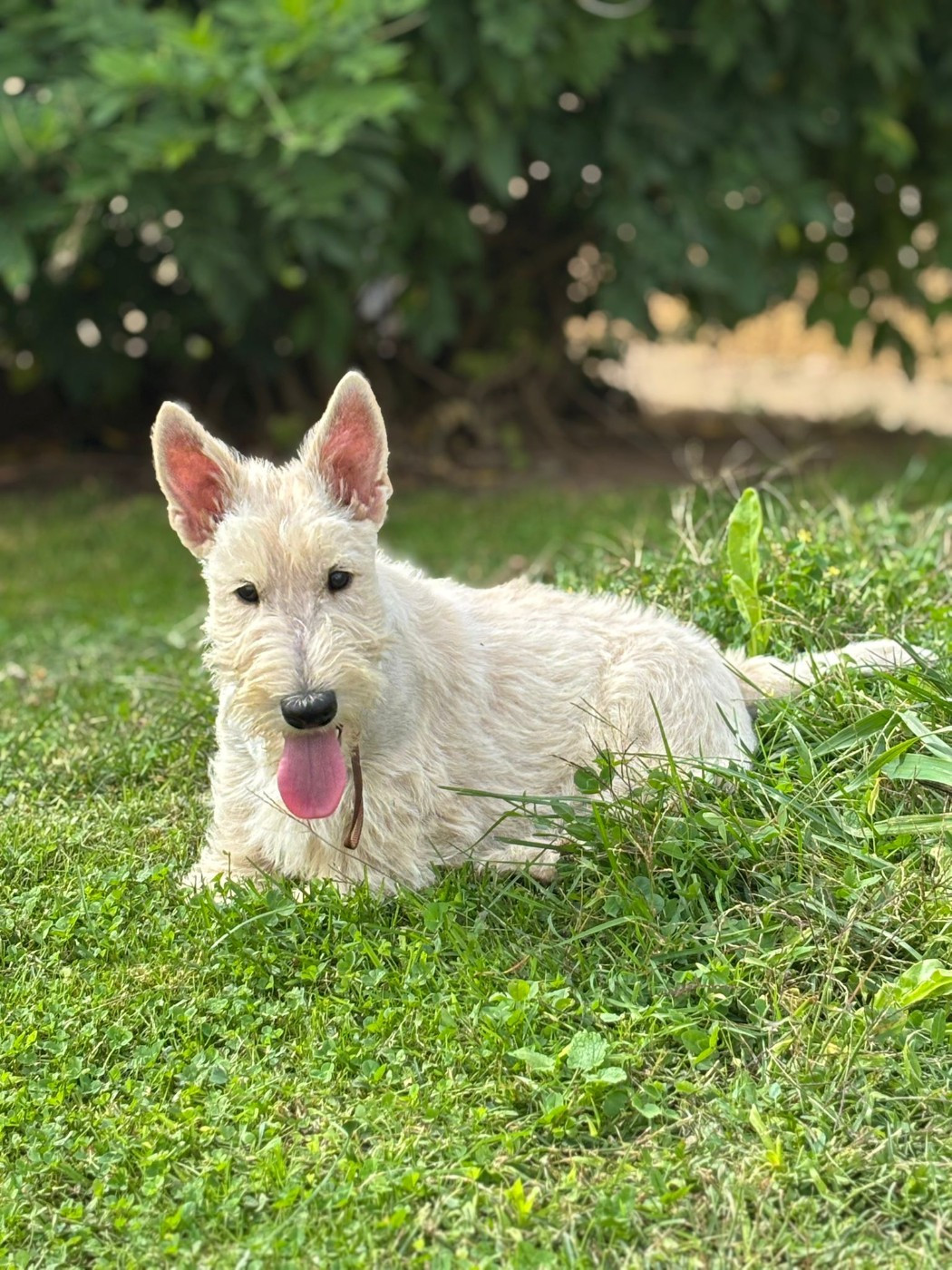 Nationale et Internationale Tarbes 2025