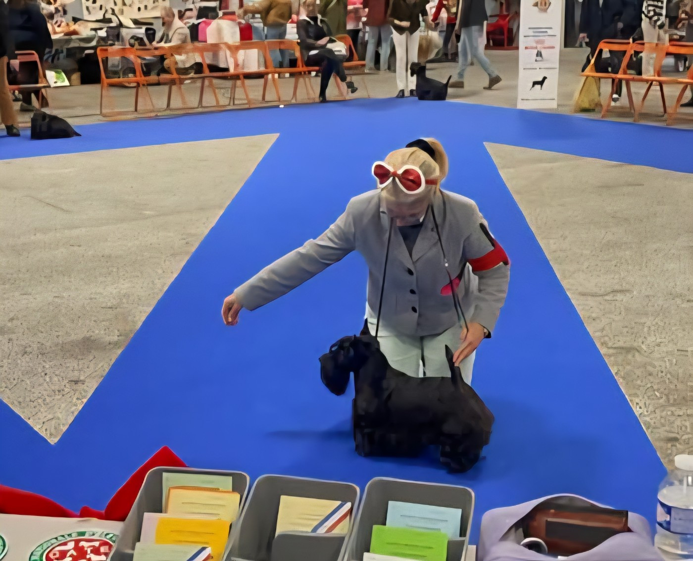 Nationale d Elevage 13/12/25