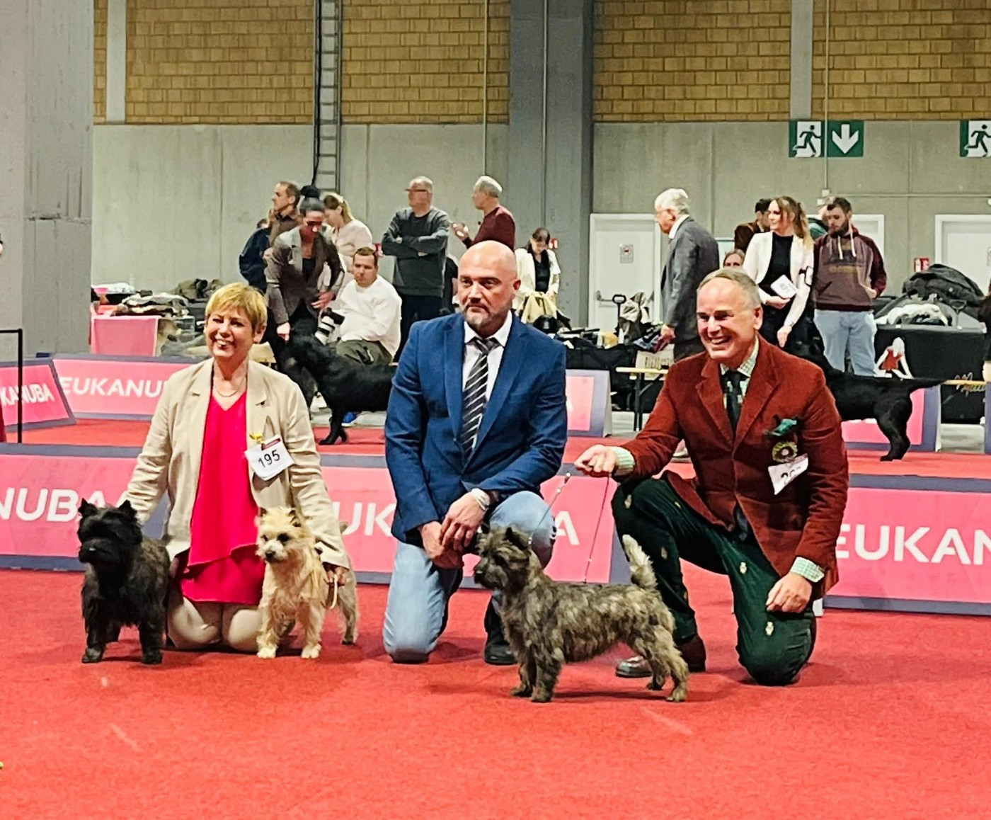 du Harpouy D'Auzan - Exposition Canine Charleroi Belgique