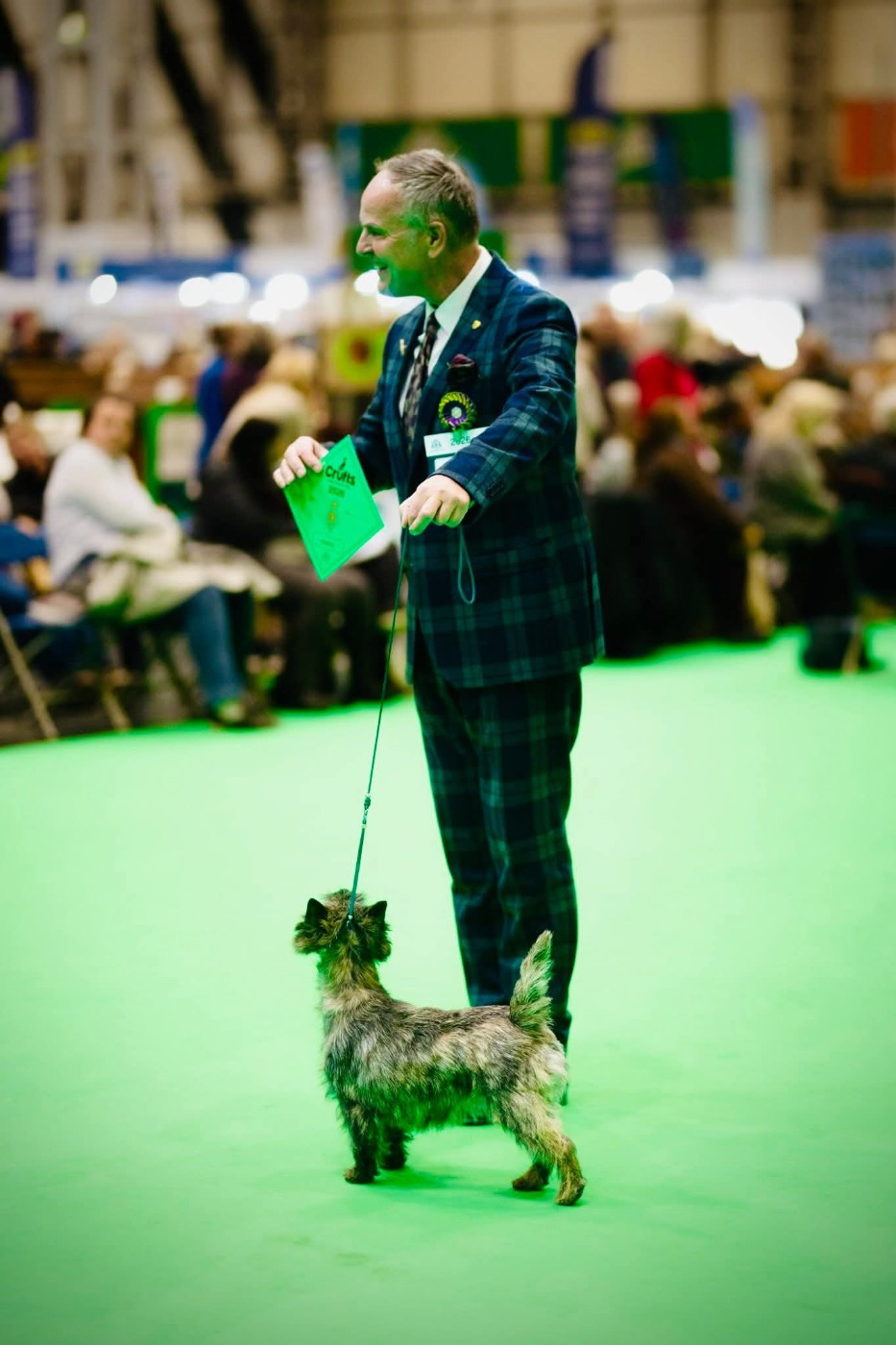 du Harpouy D'Auzan - Crufts 2026