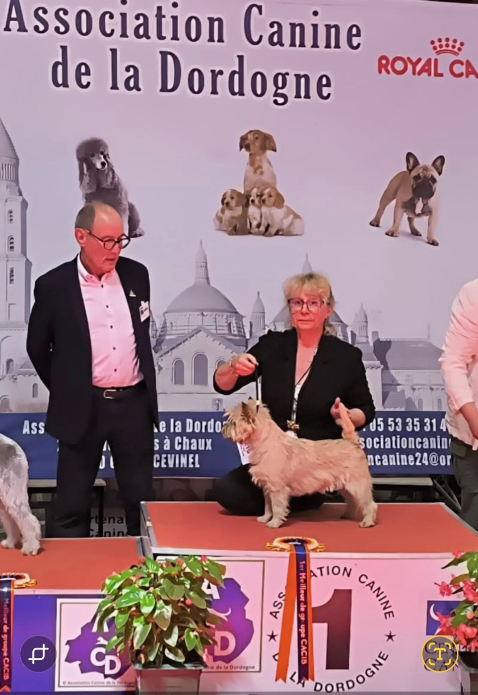 du Harpouy D'Auzan - Exposition Canine internationale Périgueux 2026