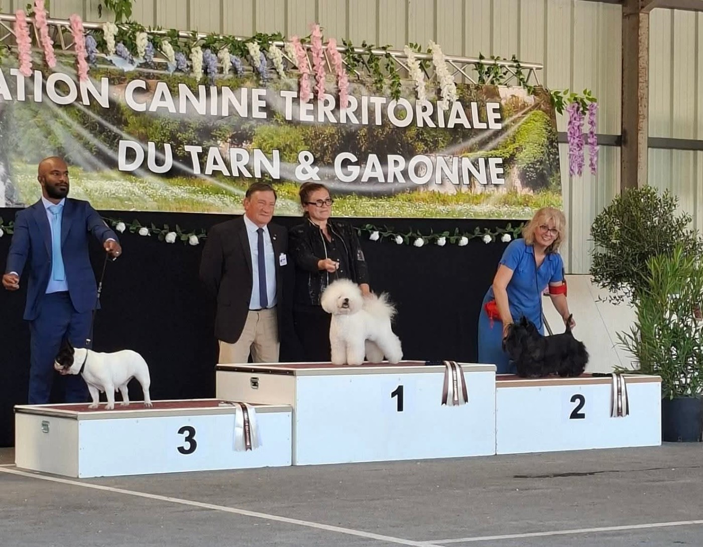 du Harpouy D'Auzan - Exposition Canine Nationale Monclar de Quercy