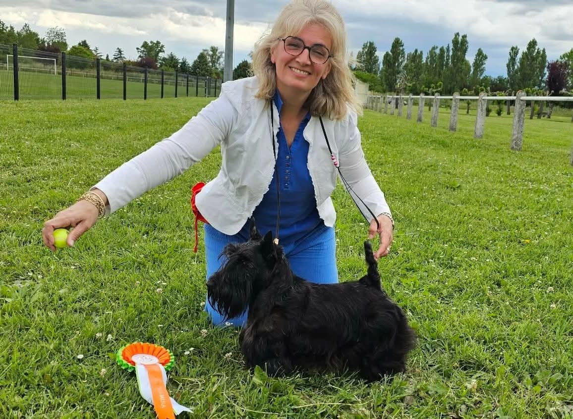 du Harpouy D'Auzan - Exposition Canine Nationale de Balma