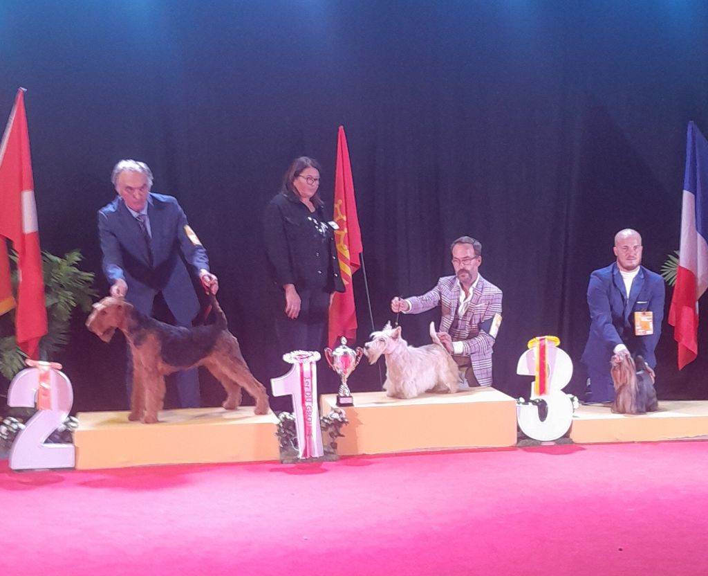 Exposition Canine  Internationale Béziers 2024