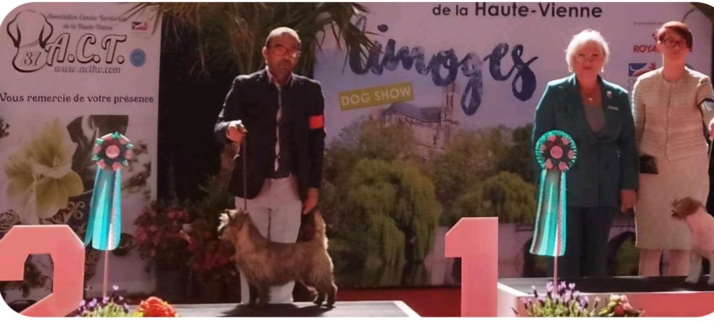 du Harpouy D'Auzan - Exposition Canine Nationale Limoges 04/05/25